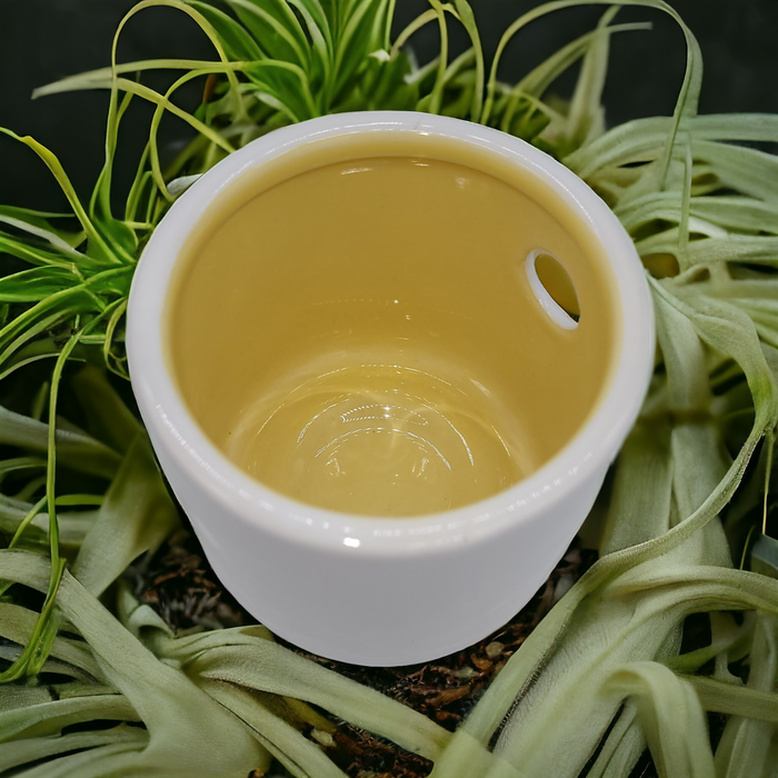 Ceramic Tea Light Holder Lantern with Holes - Choice of Two Colours