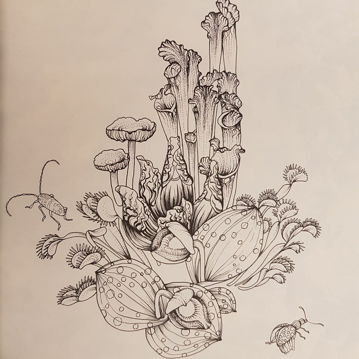 Adult Colouring Book - The Garden Of Earthly Delights by Adriana Picker