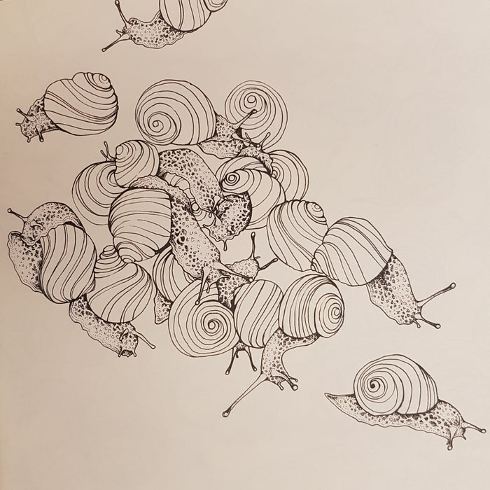 Adult Colouring Book - The Garden Of Earthly Delights by Adriana Picker