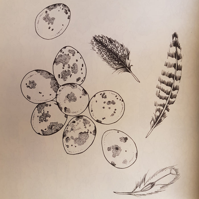 Adult Colouring Book - The Garden Of Earthly Delights by Adriana Picker