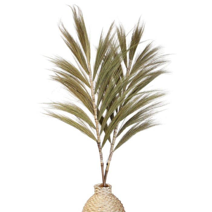 Rayunggras - Natur - 3er-Set (1,6m)