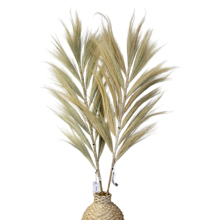 Rayung-Gras – Blond – 3er-Set (1,6 m)