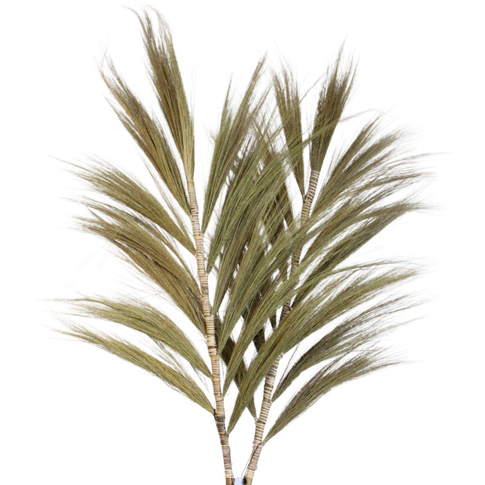 Rayung-Gras – Natur – 3er-Set (2 m)