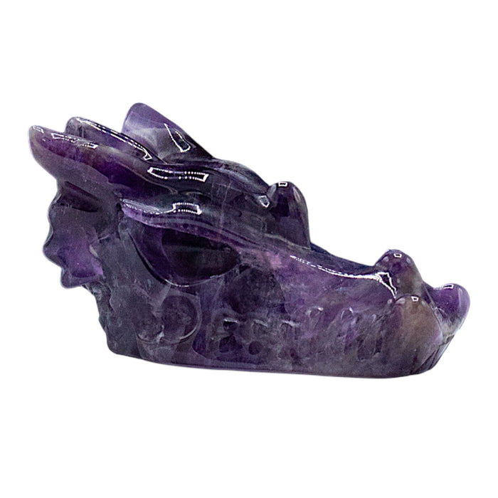 Edelstein-Drachenkopf - Amethyst