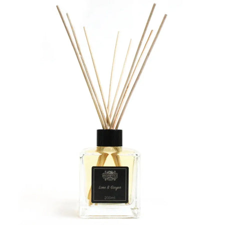 Clear glass reed diffuser with black cap filled with pale yellow ginger essential oil and zesty lime with rattan sticks