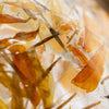 A 3 inch amber botanical bauble with clear resin encasing dried orange and yellow flower petals