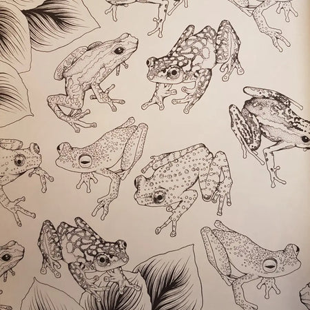 Black and white line art frogs on beige background from adult colouring book the garden of earthly delights by adriana picker