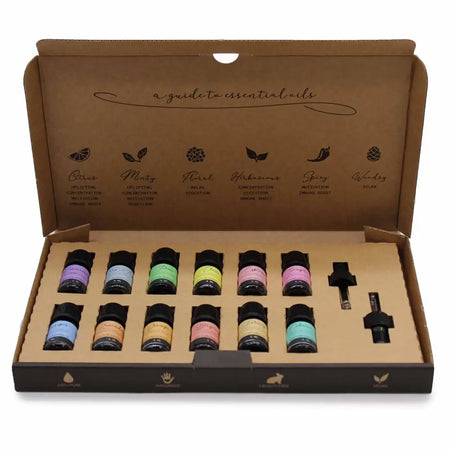 A set of ten aromatherapy essential oil bottles with black caps and colorful labels in a cardboard gift box autumn set