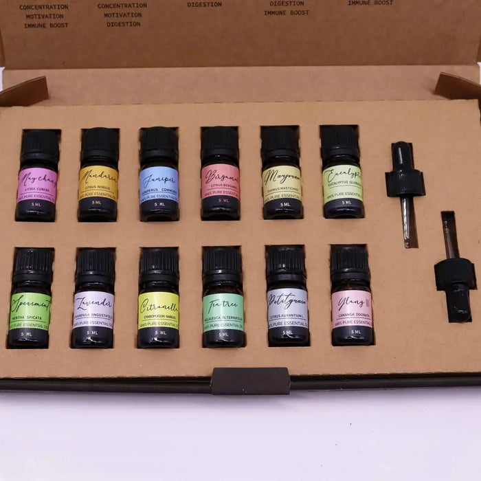 Set of ten 5 ml aromatherapy essential oil bottles with colorful labels and black caps in a cardboard box