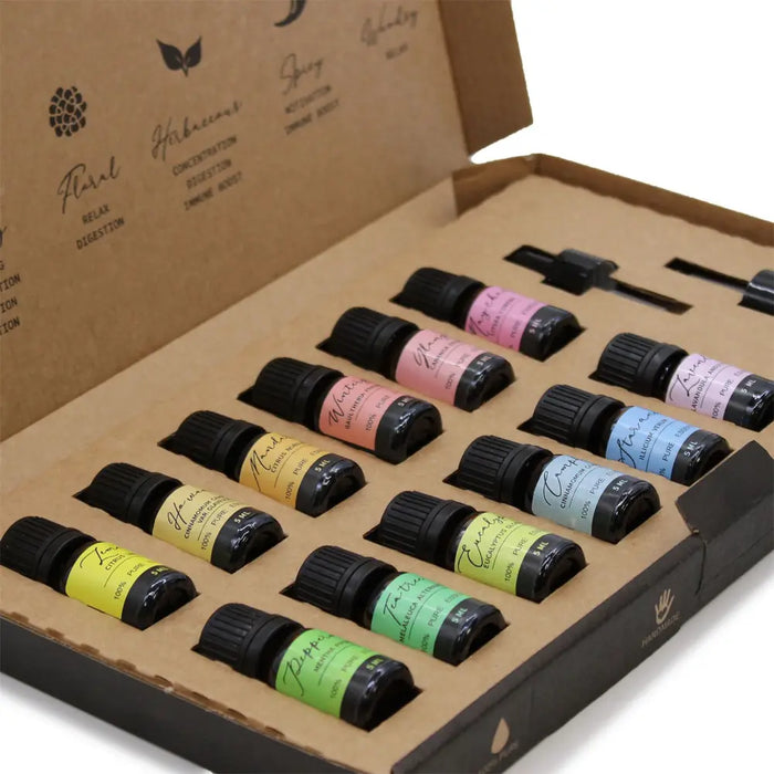 A set of twelve colorful aromatherapy essential oil bottles with black caps in a cardboard gift box starter pack