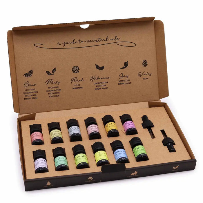 Aromatherapy essential oil set with ten colorful labeled bottles in a cardboard gift box for starter pack use