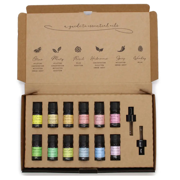 A set of ten aromatherapy essential oil bottles with black caps and colorful labels in a cardboard gift box