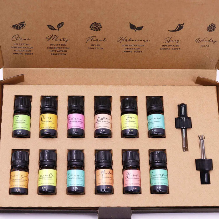 Set of ten 5 ml glass aromatherapy essential oil bottles with black caps and colorful labels in a cardboard box summer set