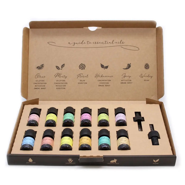 A set of ten colorful aromatherapy essential oil bottles with black caps in a cardboard gift box essential oil set