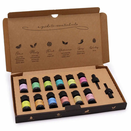 A set of ten aromatherapy essential oil bottles with colorful labels and black caps in a cardboard gift box