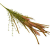 A bundle of artificial dusky pink wheat stalks with green stems and pinkish brown heads for decoration