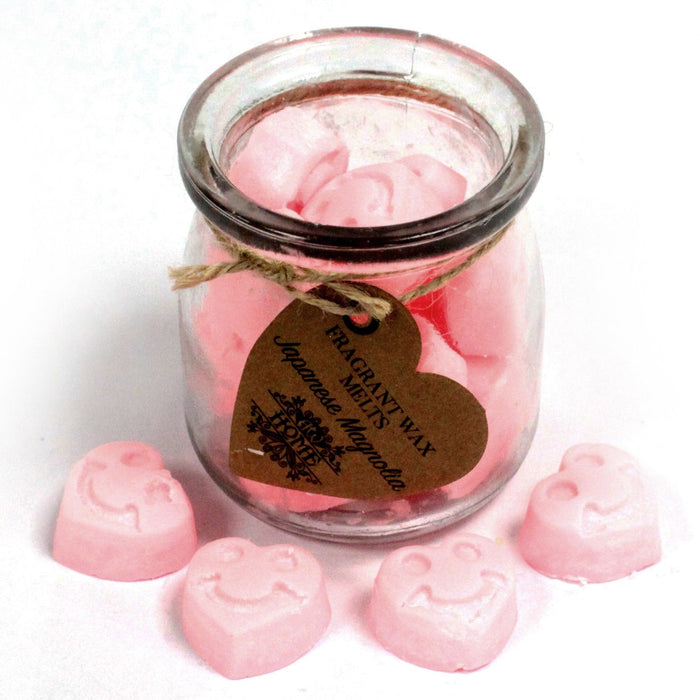 Sojawachs-Melts im Glas – Japanische Magnolie