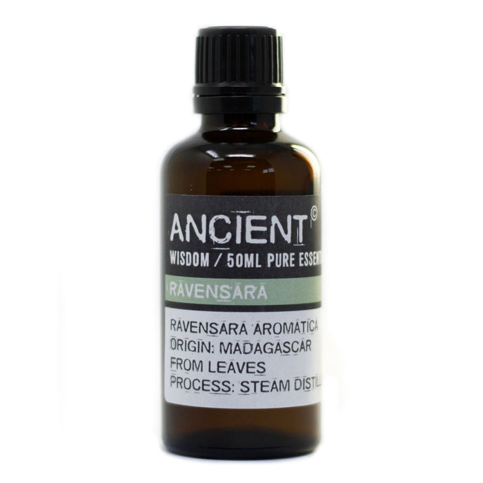 Ravensara Ätherisches Öl 50ml