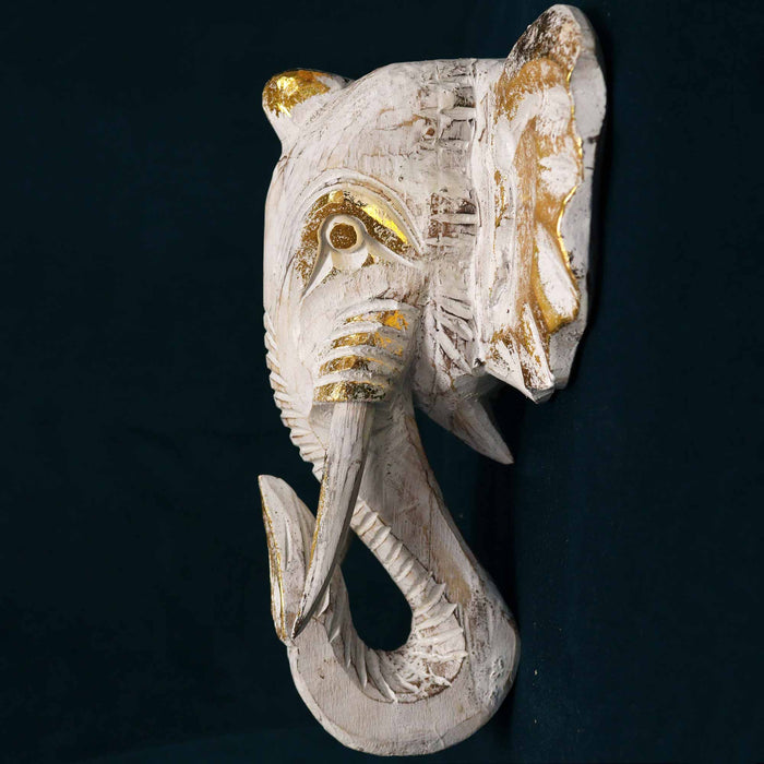 Large Albasia Wood Elephant Head - Gold & Whitewash