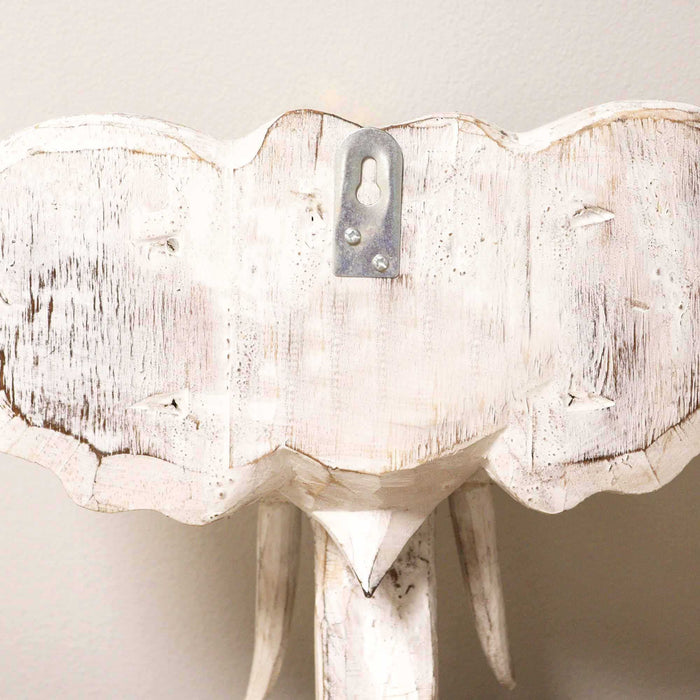 Large Albasia Wood Elephant Head - Gold & Whitewash