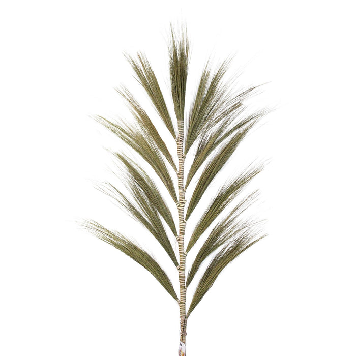 Rayunggras - Natur - 3er-Set (1,6m)