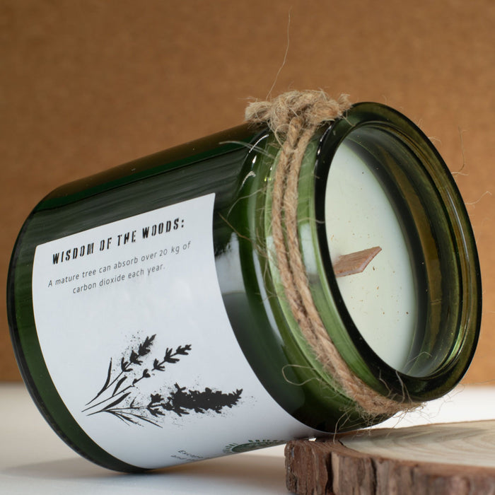 Greenman Woodwick Sojakerze - Wilder Lavendel