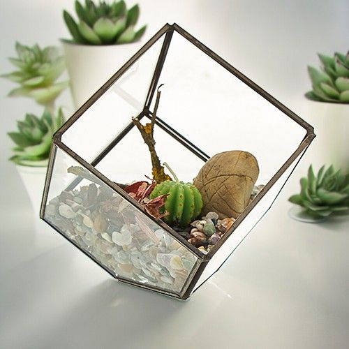 Terrarium aus Glas und Messing – geneigter Würfel