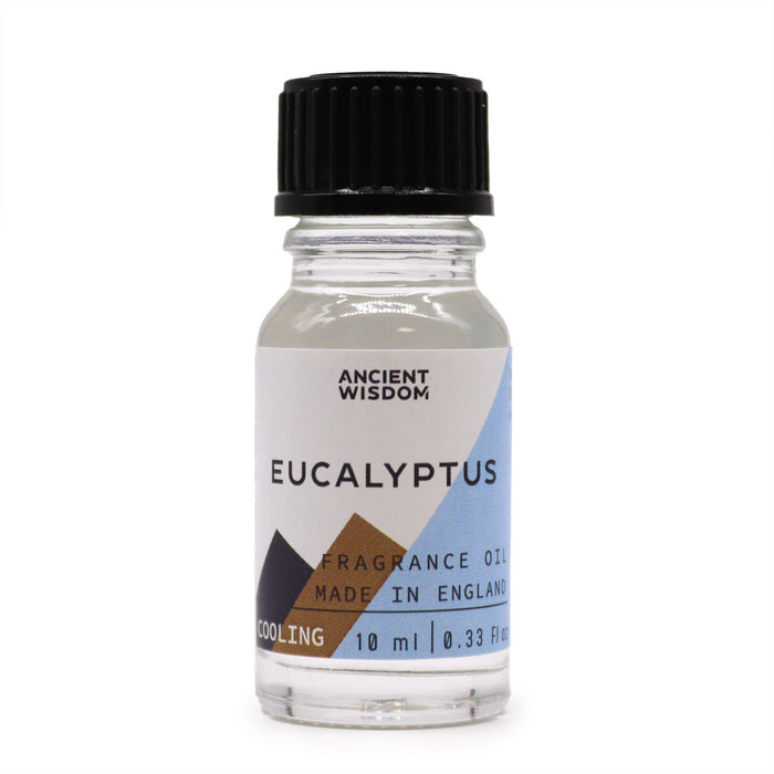 Eukalyptus-Duftöl – 10 ml