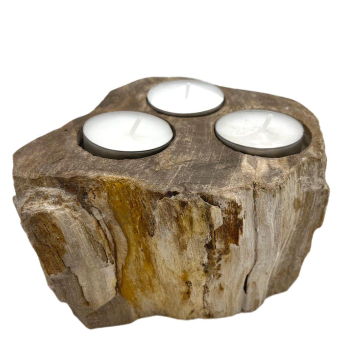 Teelichthalter aus versteinertem Holz – Dreifach
