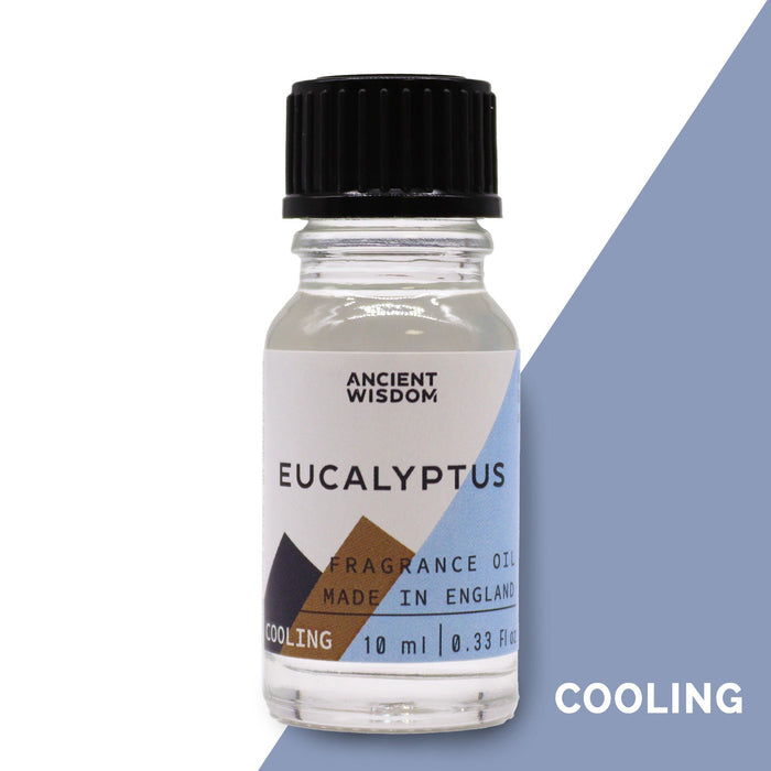 Eukalyptus-Duftöl – 10 ml