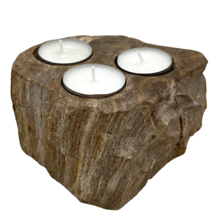 Teelichthalter aus versteinertem Holz – Dreifach