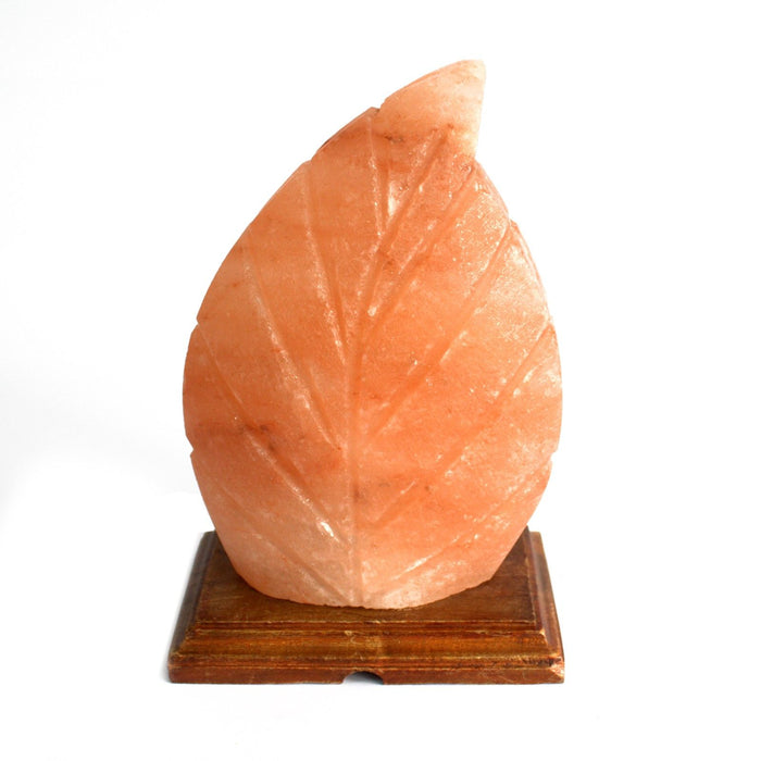 Lampe de sel de l'Himalaya – Feuille de fougère, 2,5 kg