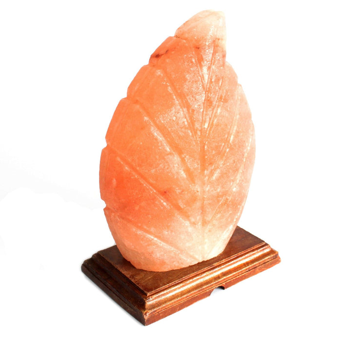 Lampe de sel de l'Himalaya – Feuille de fougère, 2,5 kg