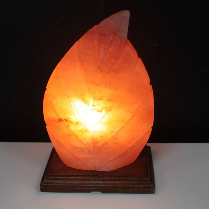 Lampe de sel de l'Himalaya – Feuille de fougère, 2,5 kg