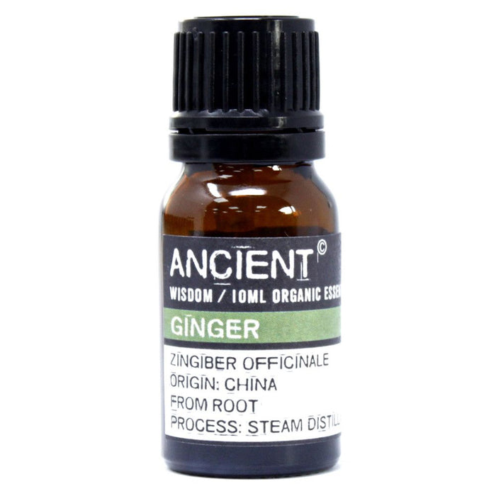 Ingwer Bio Ätherisches Öl - 10ml