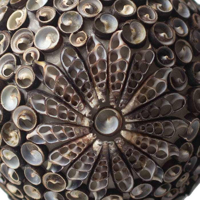 Boho Sea Shell Lamp - Chocolate Twist Globe, 15cm
