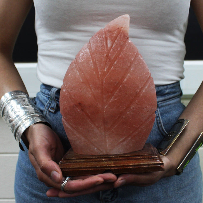 Lampe de sel de l'Himalaya – Feuille de fougère, 2,5 kg