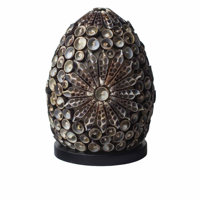Boho Sea Shell Lamp - Chocolate Twist Oval, 15cm