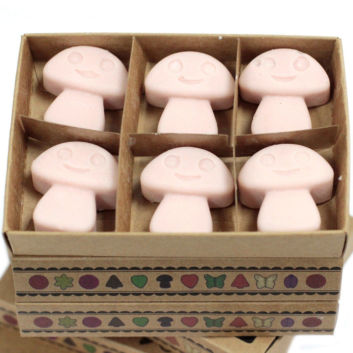 Wax Melts - Old Ginger (6 Stück Packung)