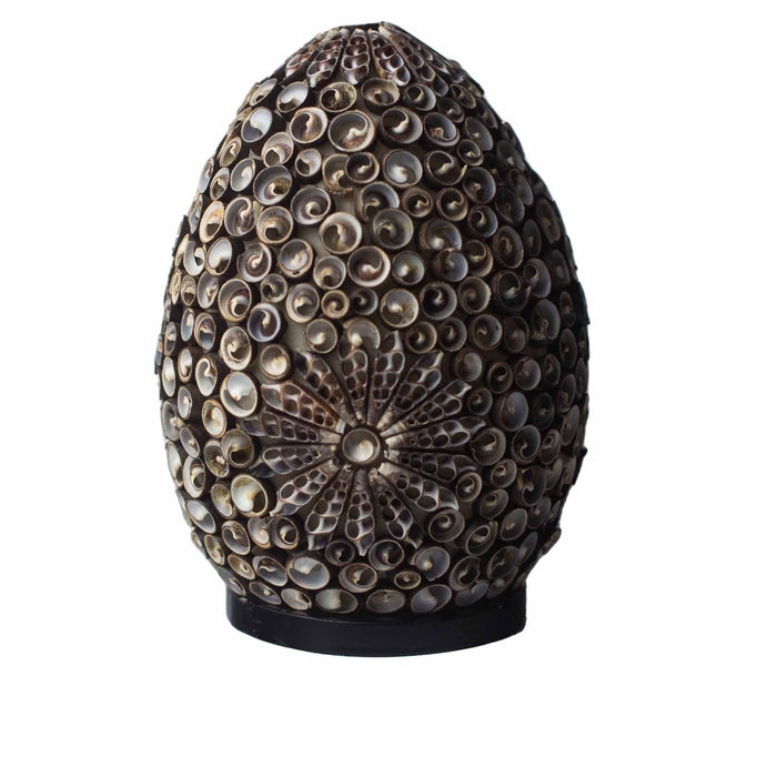 Boho Sea Shell Lamp - Chocolate Twist Oval, 20cm