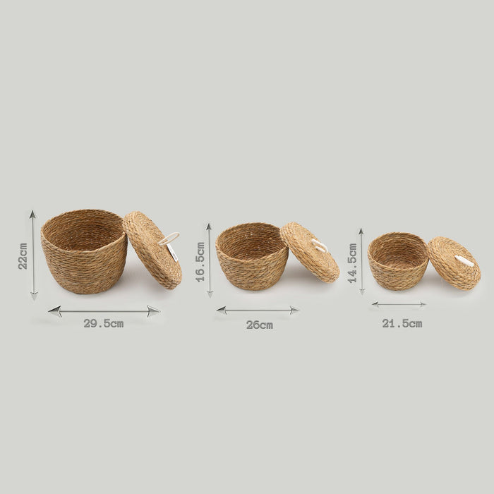 Seegras- & Baumwollkörbe mit Deckel – Natur – 3er-Set