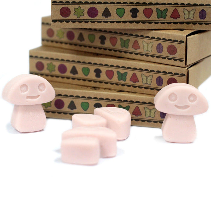 Wax Melts - Old Ginger (6 Stück Packung)
