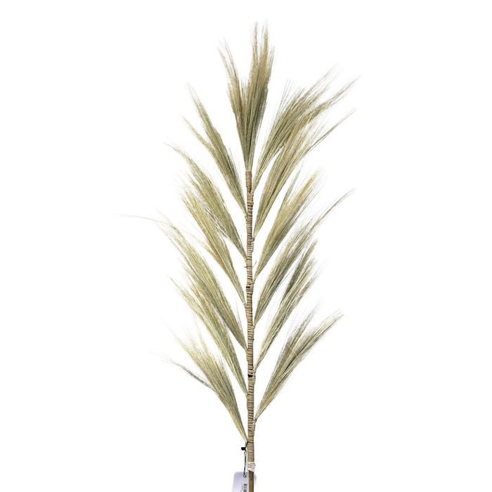 Rayung-Gras – Blond – 3er-Set (1,6 m)