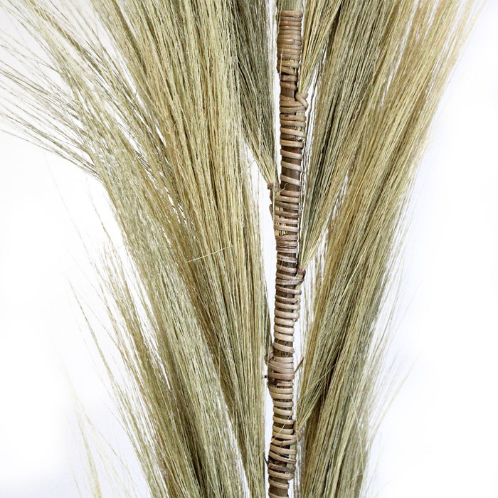 Rayung-Gras – Blond – 3er-Set (1,6 m)