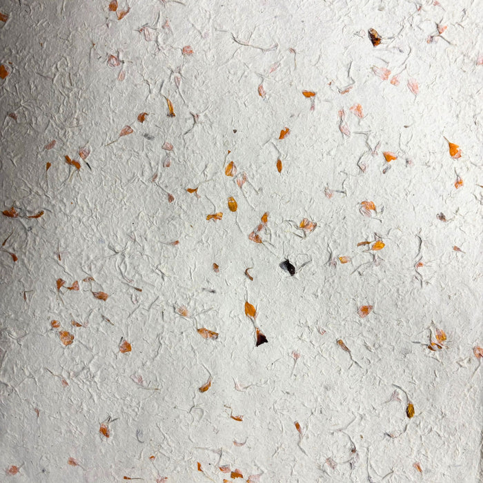 Lokta-Bastpapier / Geschenkpapier - Ringelblumenblüten (5 Bögen)