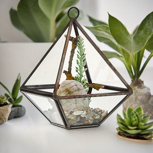 Glas- & Messingterrarium – Kleiner Diamant