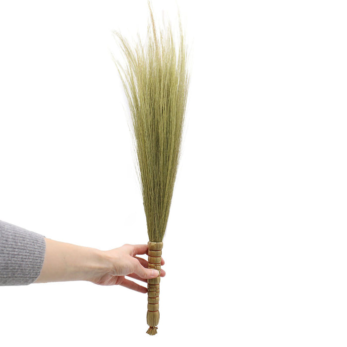 Natur-Pampasbesen - Natur - 4er Set