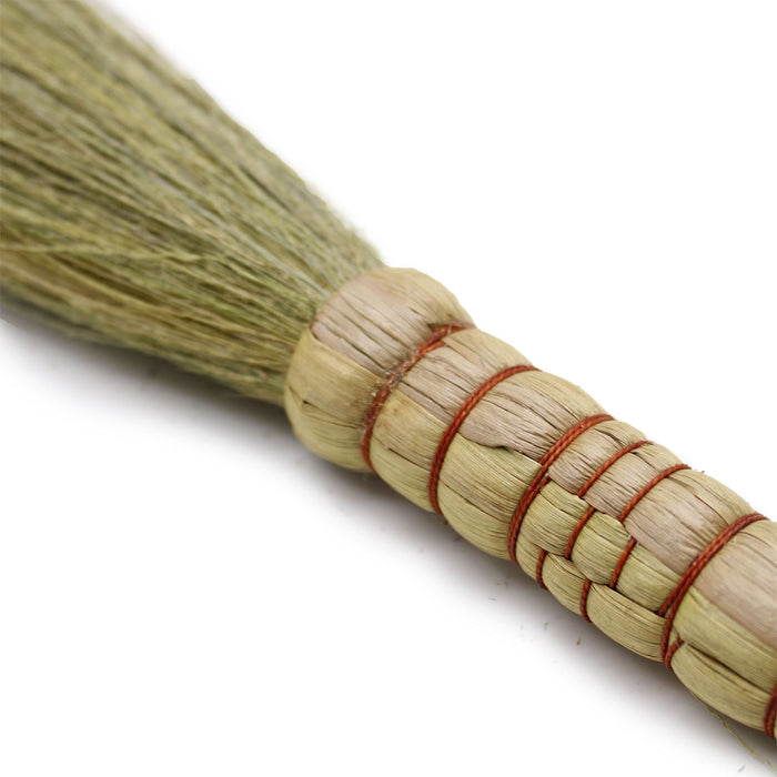 Natur-Pampasbesen - Natur - 4er Set