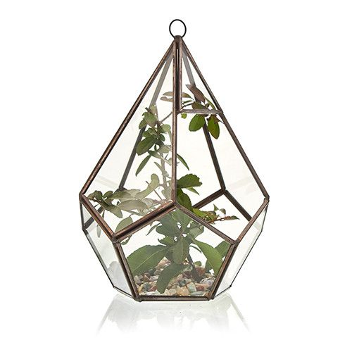 Glass & Brass Terrarium - Large Pentagon