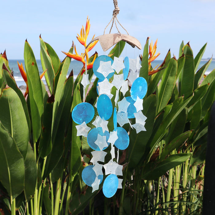 Capiz-Muschel- & Kokosnuss-Windspiel – Sterne, blaue und weiße Sterne
